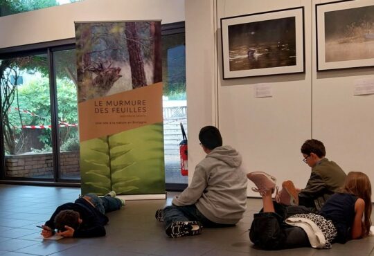 Exposition photo