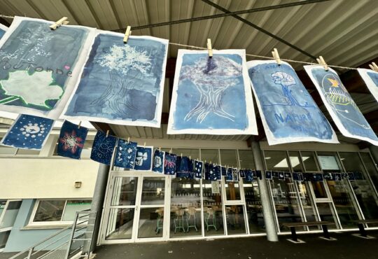 Exposition « La grande lessive »